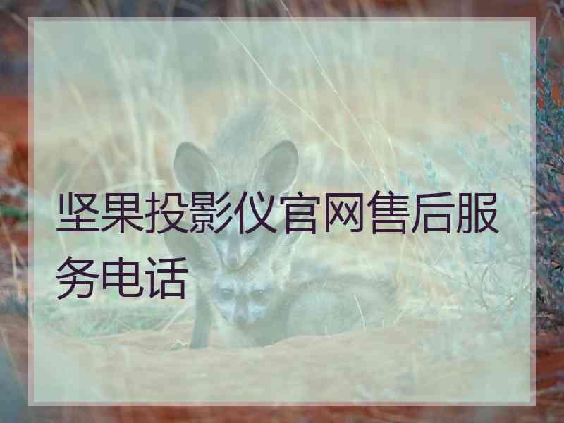 坚果投影仪官网售后服务电话
