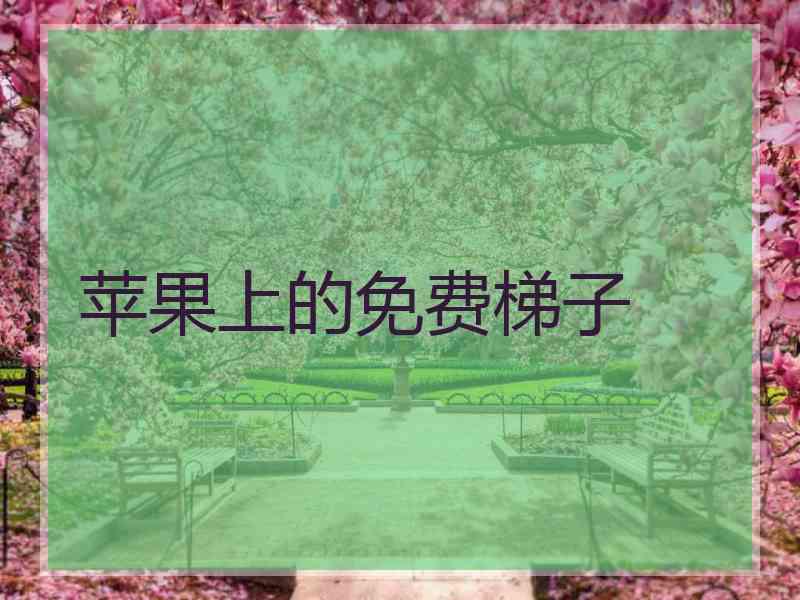 苹果上的免费梯子