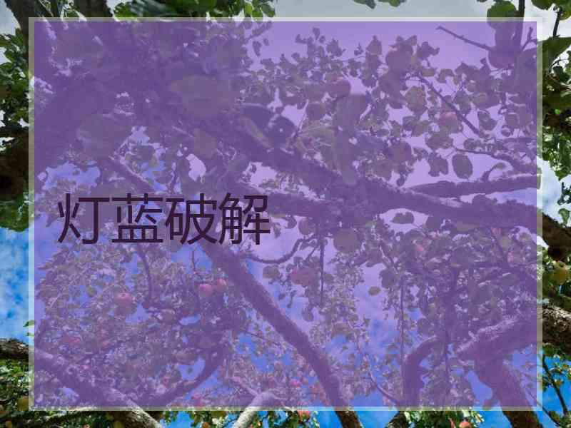 灯蓝破解