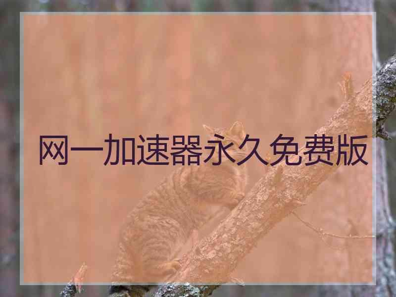 网一加速器永久免费版
