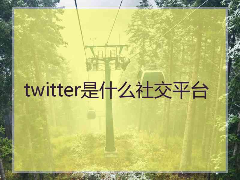 twitter是什么社交平台