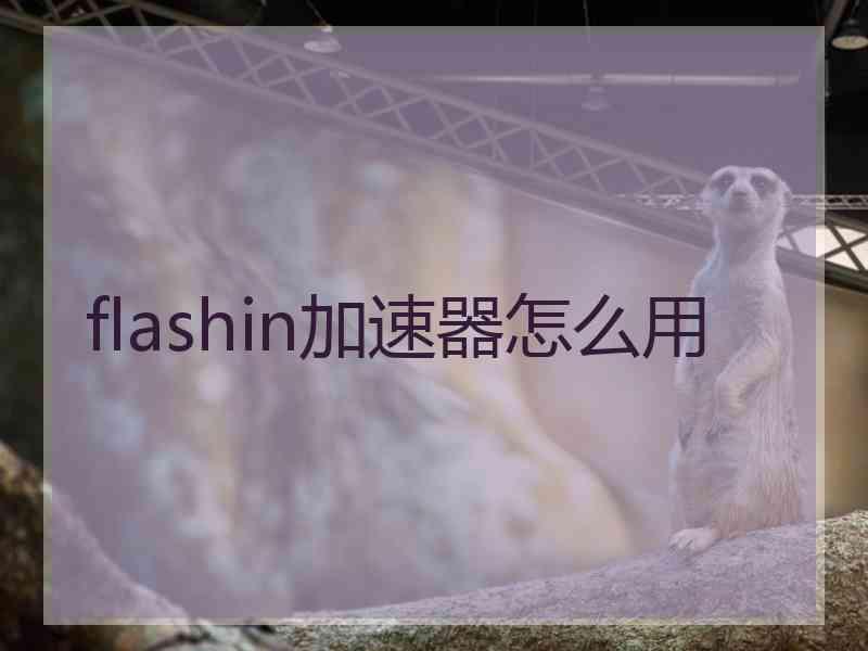 flashin加速器怎么用