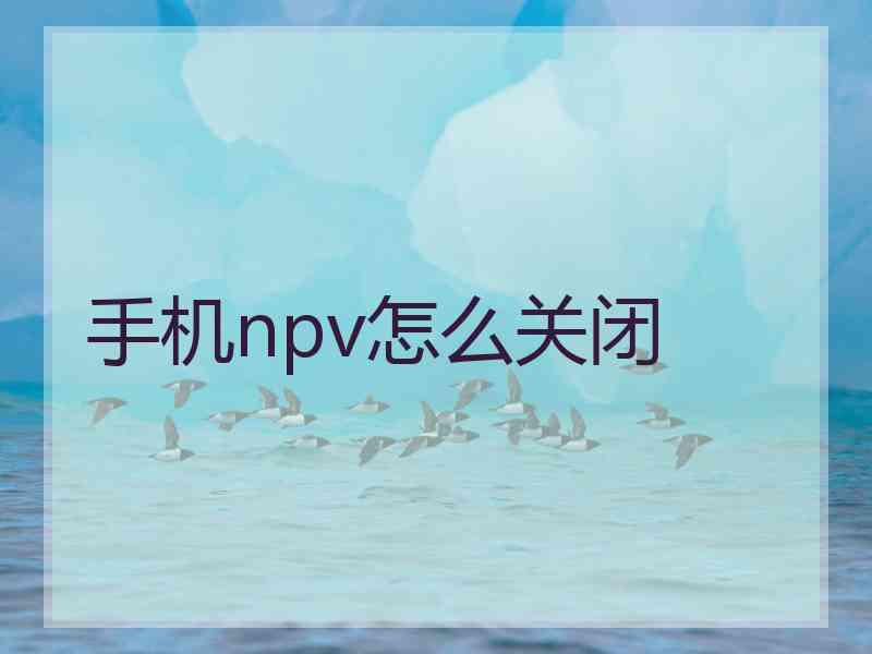 手机npv怎么关闭