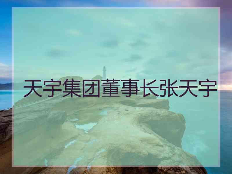天宇集团董事长张天宇