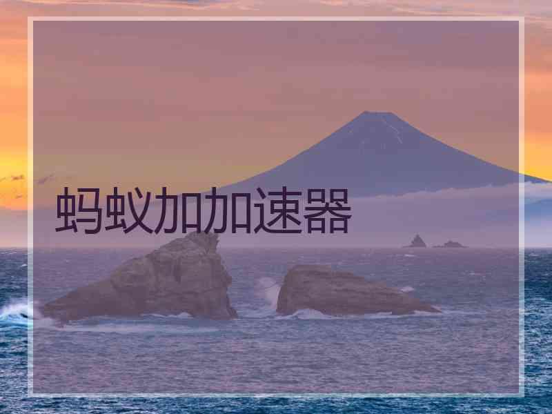 蚂蚁加加速器