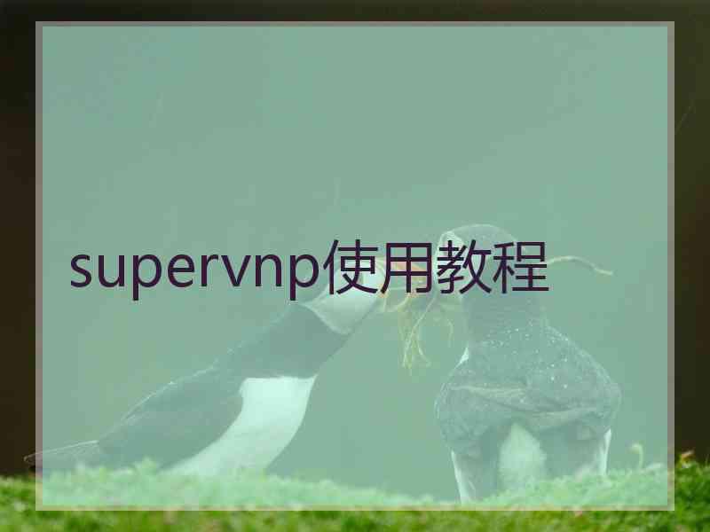 supervnp使用教程