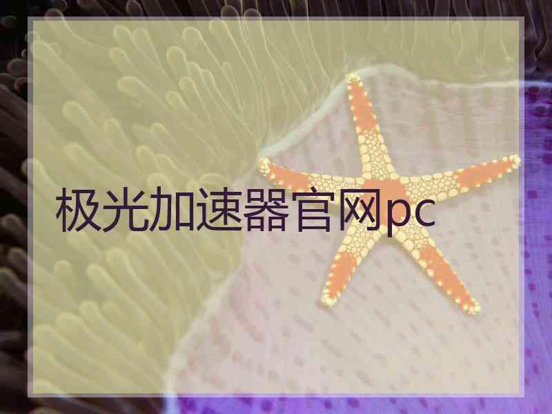 极光加速器官网pc