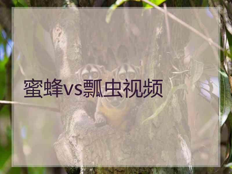 蜜蜂vs瓢虫视频