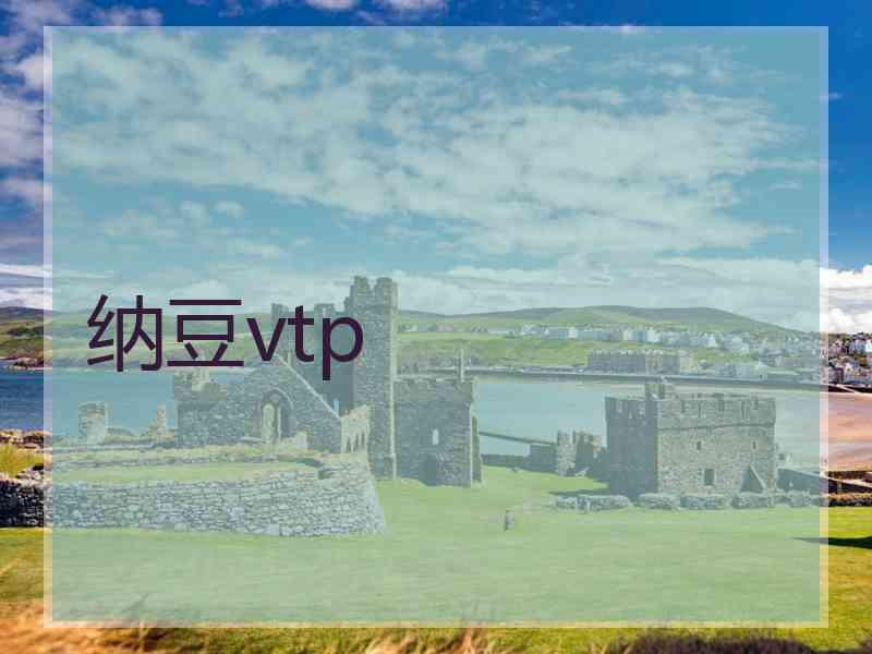 纳豆vtp
