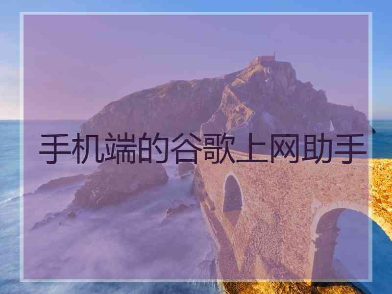 手机端的谷歌上网助手