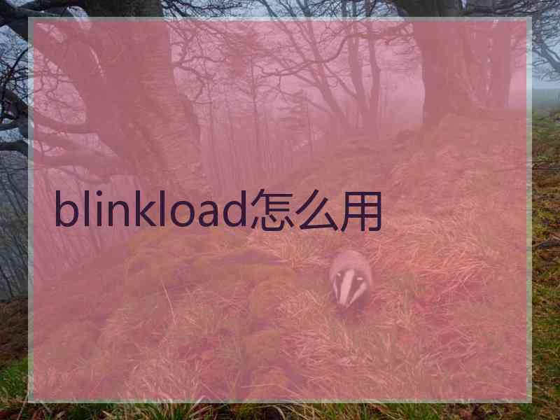 blinkload怎么用