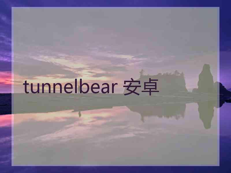 tunnelbear 安卓