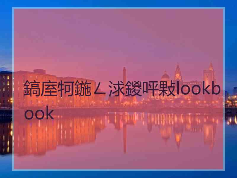 鎬庢牱鍦ㄥ浗鍐呯敤lookbook