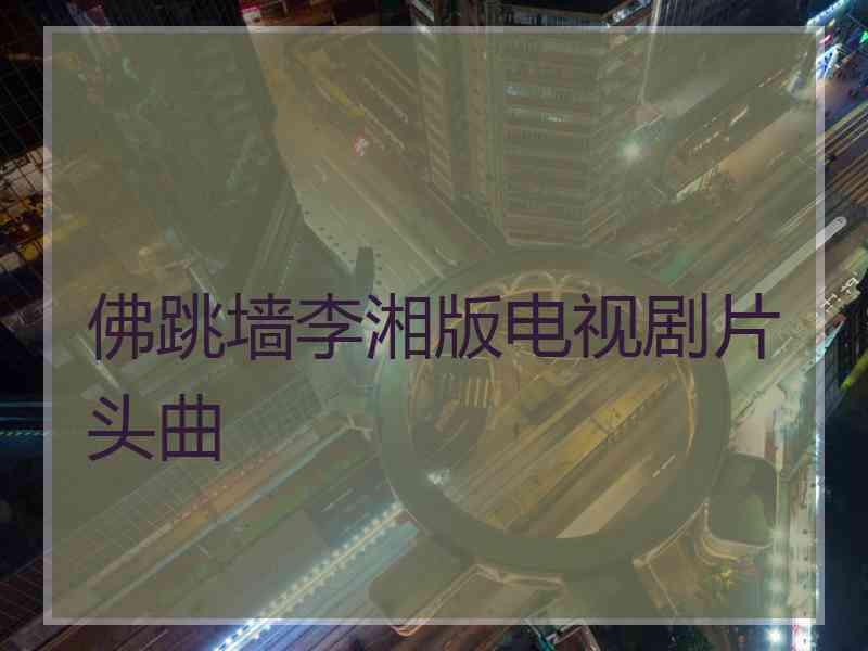 佛跳墙李湘版电视剧片头曲