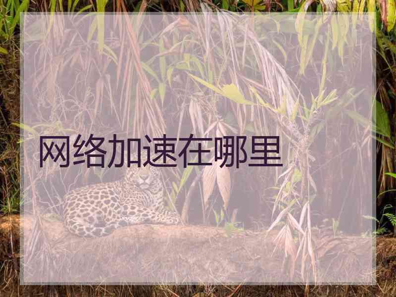 网络加速在哪里