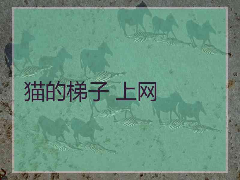 猫的梯子 上网