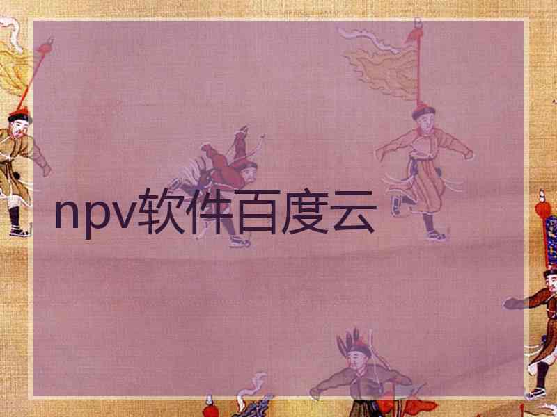 npv软件百度云
