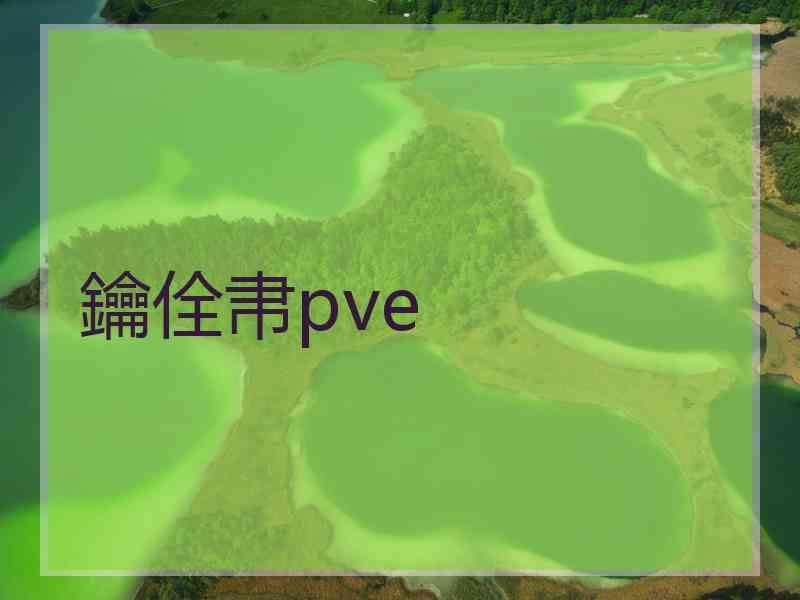 鑰佺帇pve