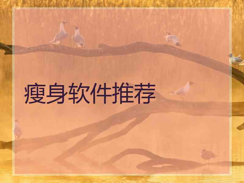 瘦身软件推荐
