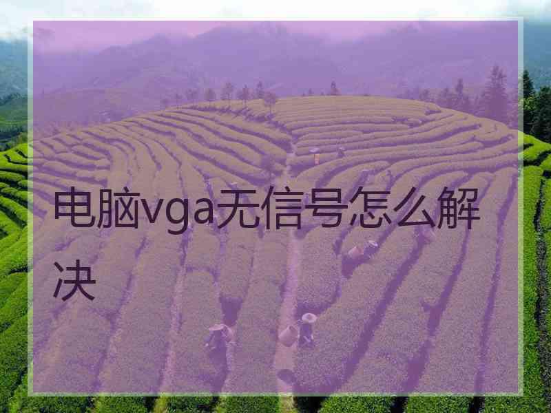 电脑vga无信号怎么解决