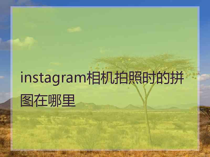 instagram相机拍照时的拼图在哪里