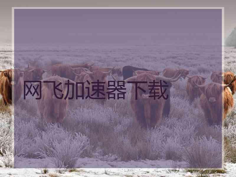 网飞加速器下载