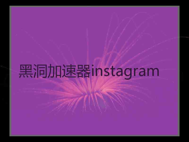 黑洞加速器instagram