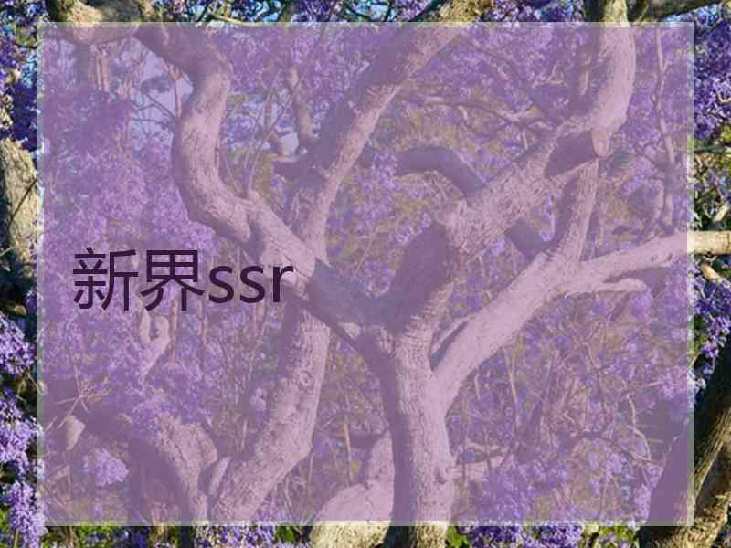 新界ssr