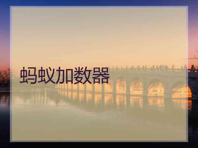 蚂蚁加数器