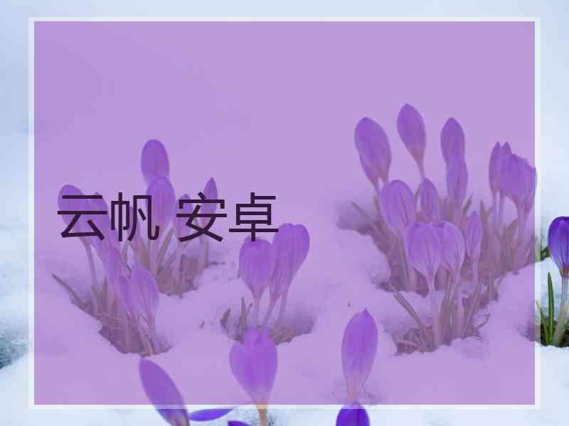 云帆 安卓