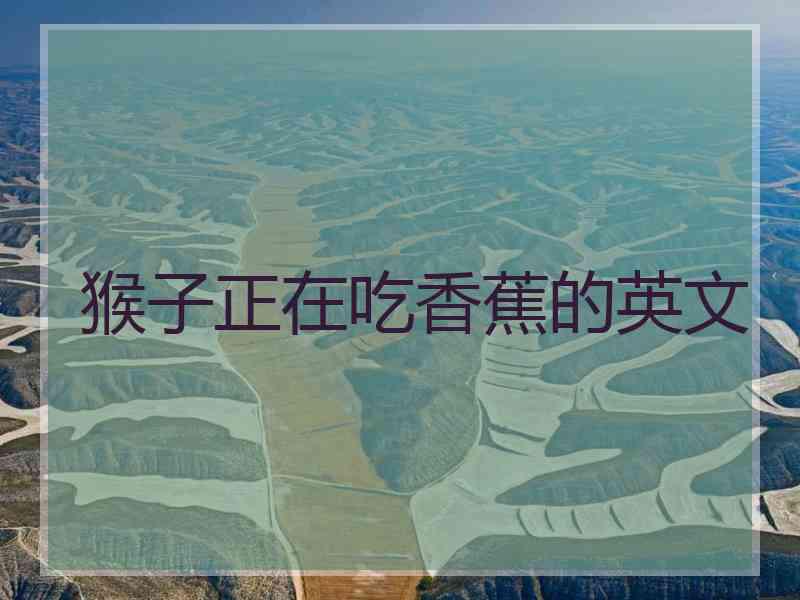 猴子正在吃香蕉的英文