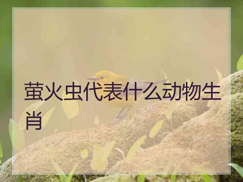 萤火虫代表什么动物生肖