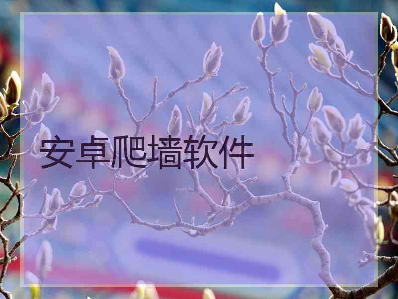 安卓爬墙软件