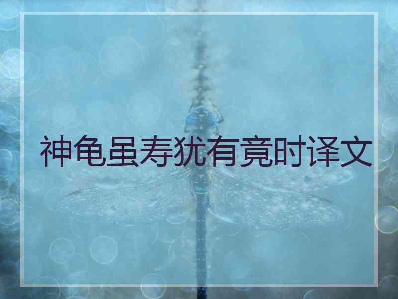 神龟虽寿犹有竟时译文
