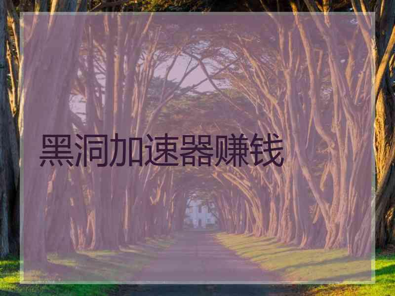 黑洞加速器赚钱