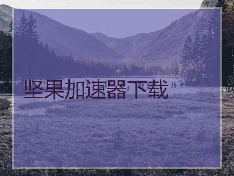 坚果加速器下载