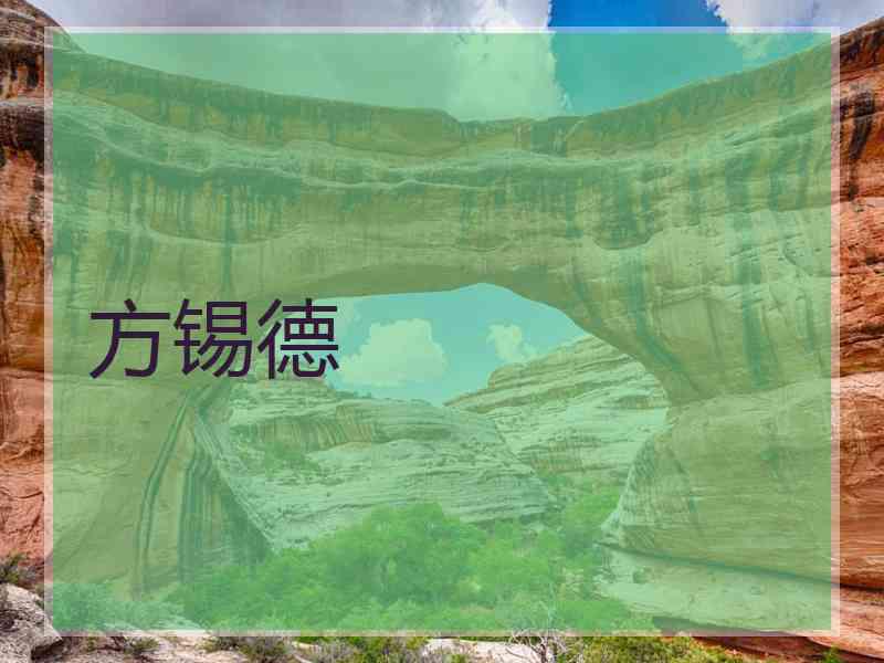 方锡德