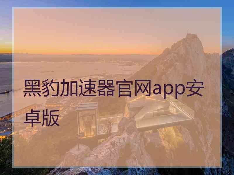 黑豹加速器官网app安卓版