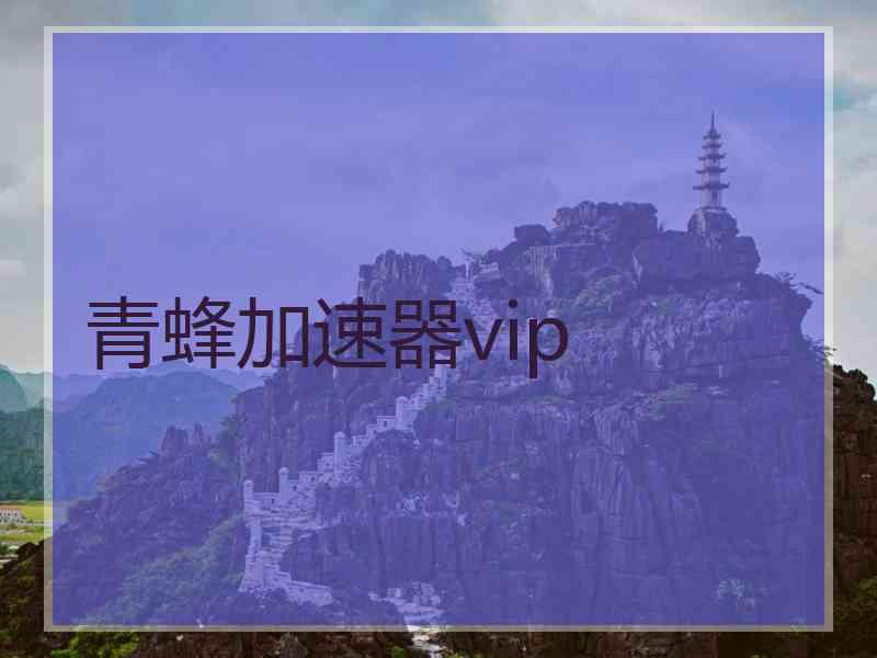 青蜂加速器vip
