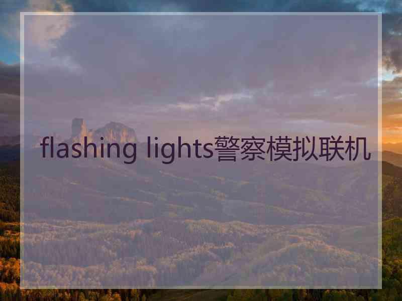 flashing lights警察模拟联机