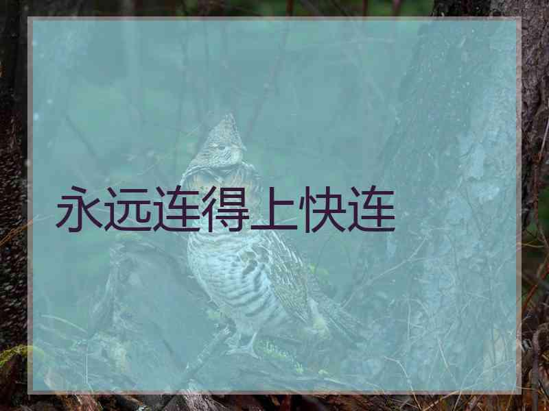 永远连得上快连