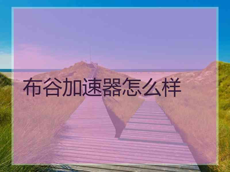 布谷加速器怎么样