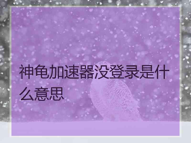 神龟加速器没登录是什么意思
