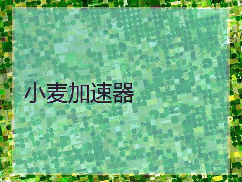 小麦加速器