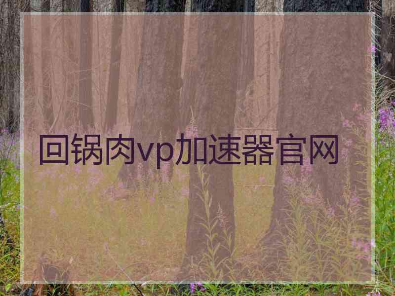 回锅肉vp加速器官网