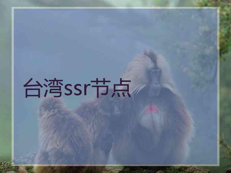 台湾ssr节点