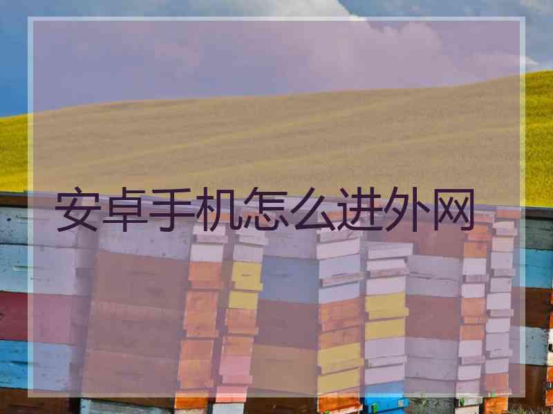 安卓手机怎么进外网