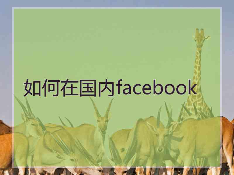 如何在国内facebook