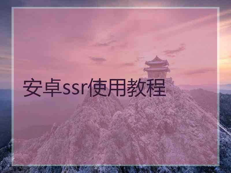 安卓ssr使用教程