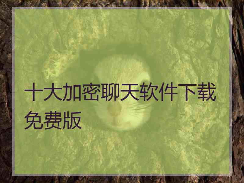 十大加密聊天软件下载免费版